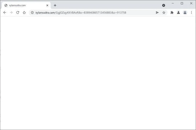 Remove Xylansudra.cam redirect (Virus Removal Guide) 1 Image: Chrome browser is redirected to Xylansudra.cam