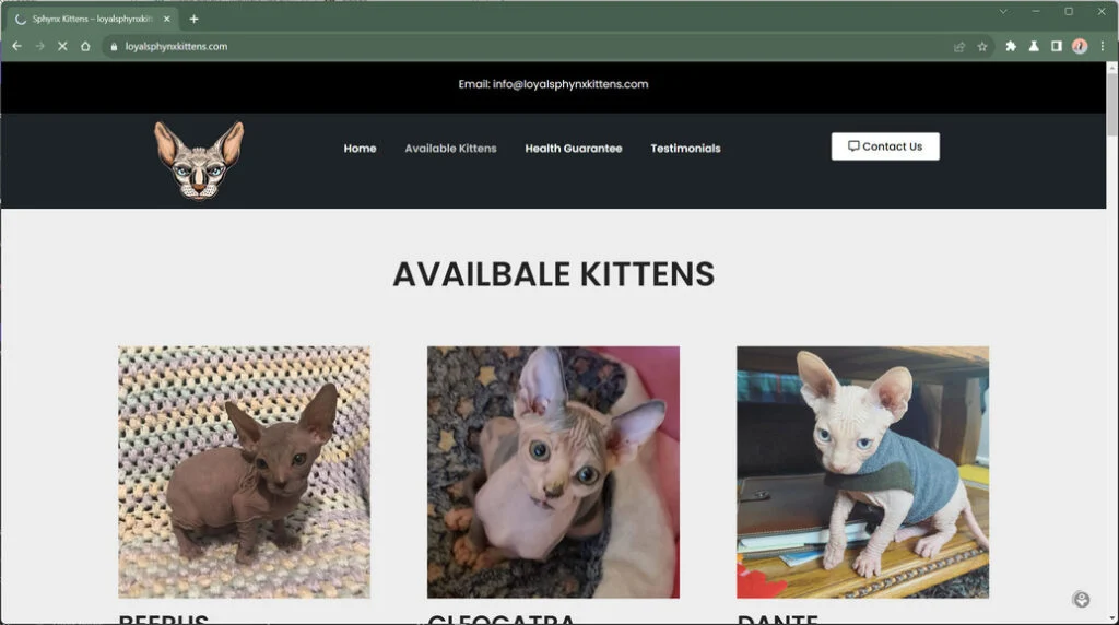 Loyalsphynxkittens.com Exposed: Inside the Feline Fraud Scheme 1 Loyalsphynxkittens.com trendmicro