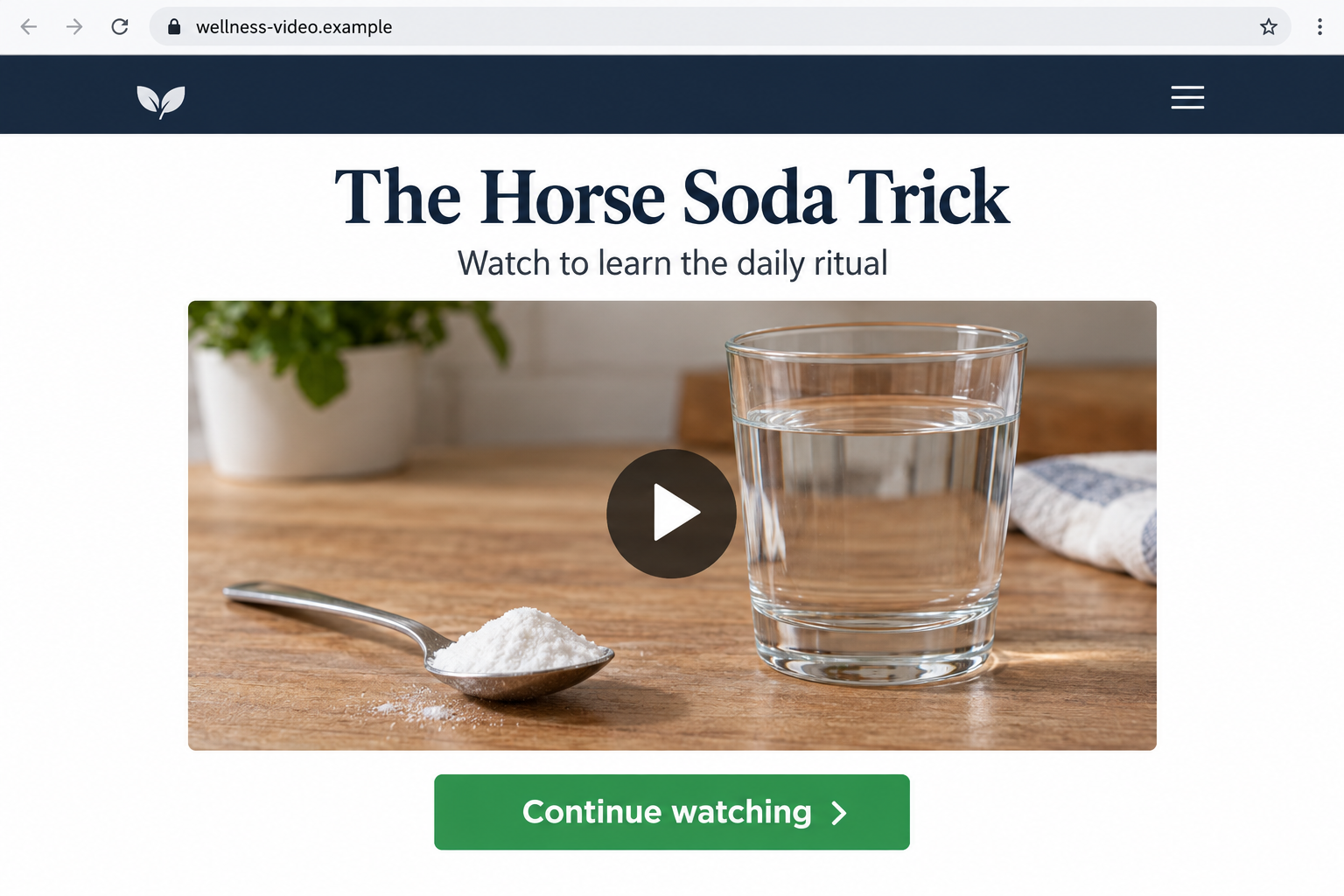 Nonfunctional example video landing page presenting a horse soda trick with baking soda and water