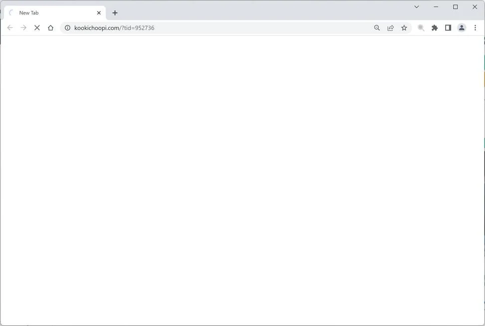 Image: Kookichoopi.com Ads