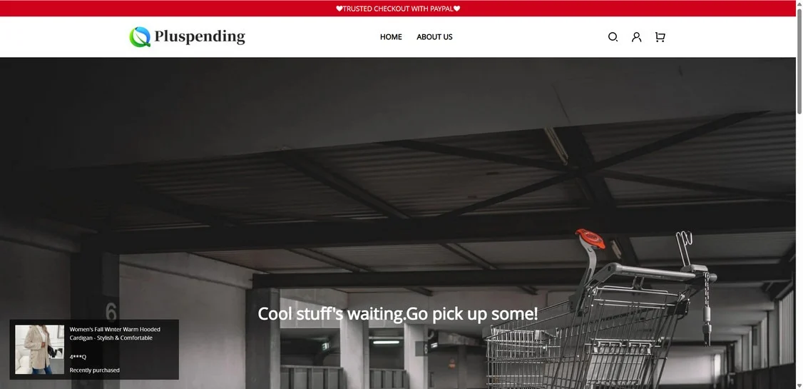 Pluspending.com Review – Scam or Legit? Buyers Report Serious Issues 1 Pluspending.com scam