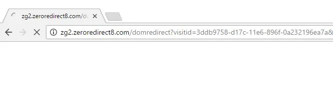 zg2.zeroredirect8.com virus