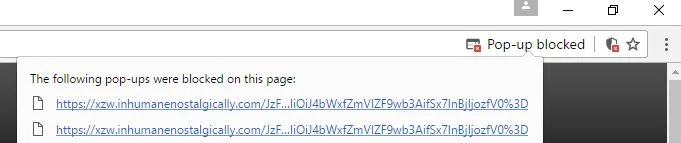 Xzw.inhumanenostalgically.com virus