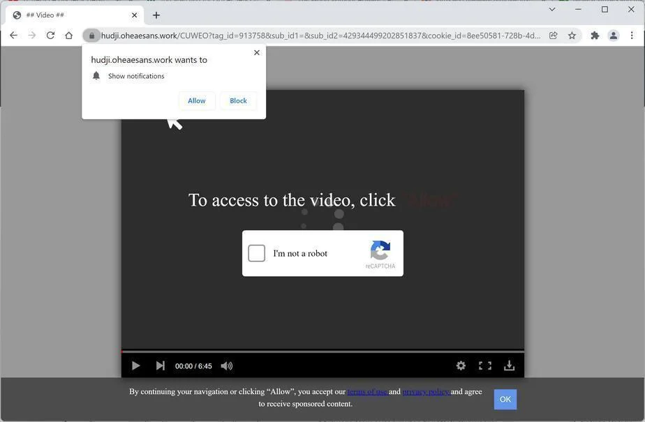 Image: Chrome browser is redirected to Oheaesans.work
