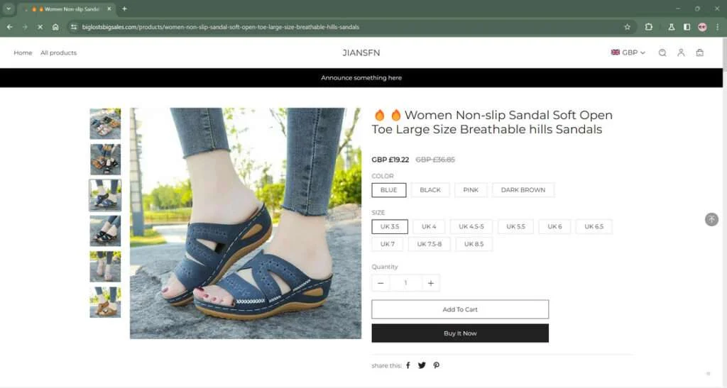 biglostsbigsales.com scam