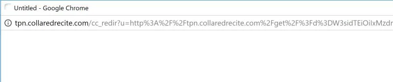 tpn.collaredrecite.com virus