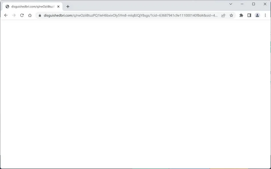 Disguishedbri.com ad