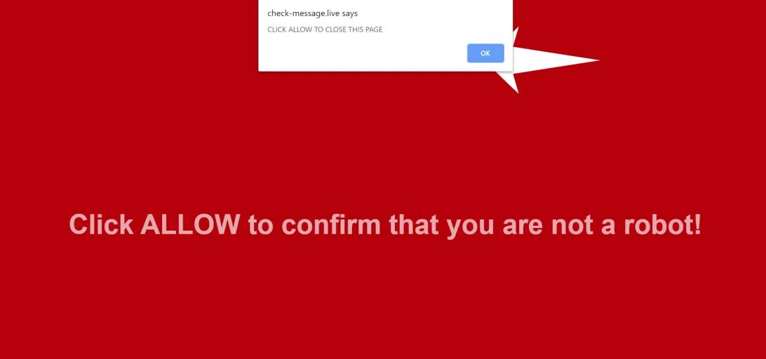 Image: Chrome browser is redirected to Check-message.live