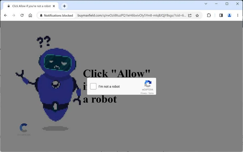 buymaxfield.com ad