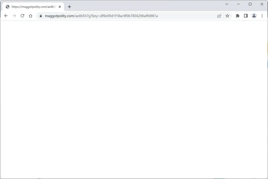 Image: Maggotpolity.com Ads
