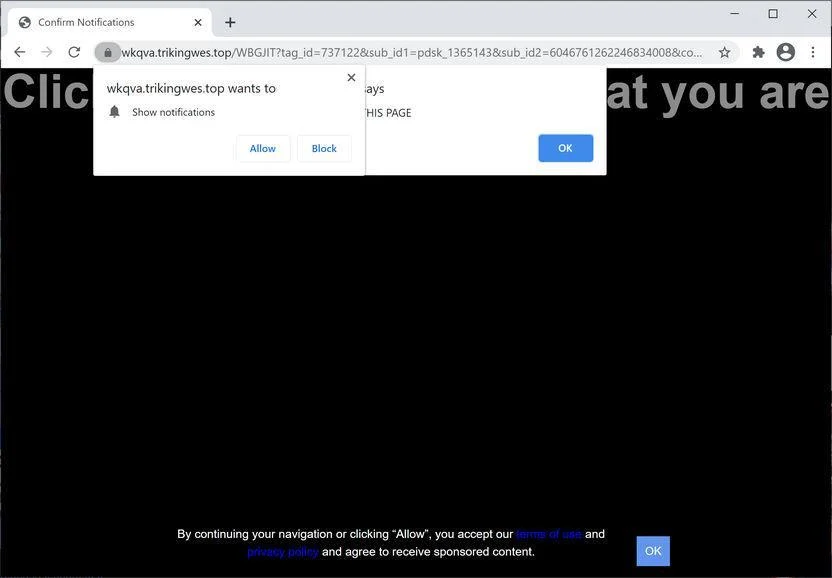 Remove Trikingwes.top pop-up ads (Virus Removal Guide) 1 Image: Chrome browser is redirected to Trikingwes.top