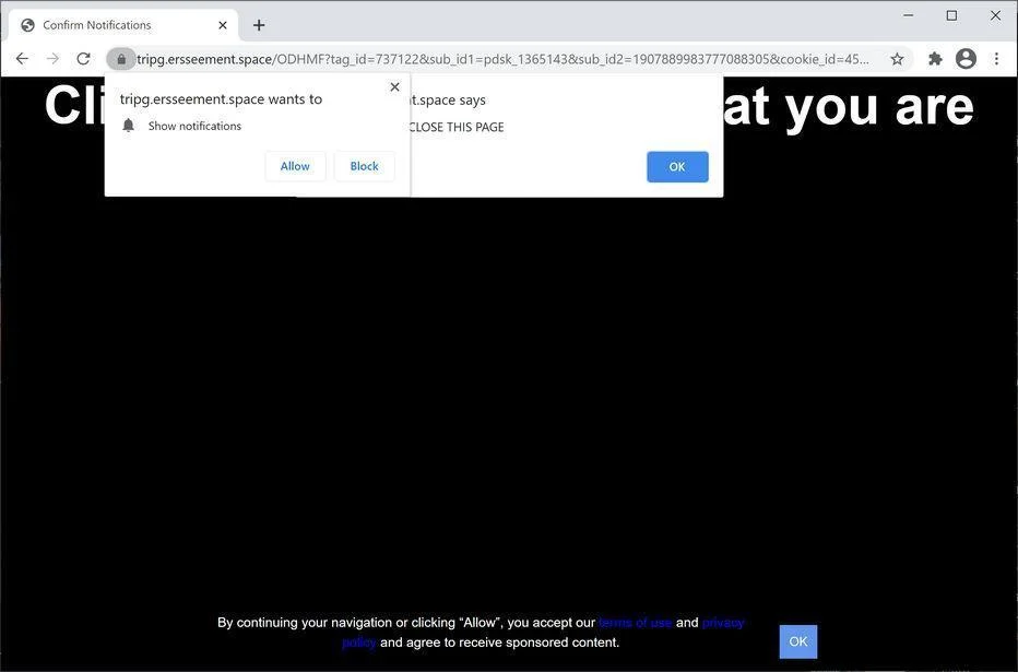 Remove Ersseement.space pop-up ads (Virus Removal Guide) 1 Image: Chrome browser is redirected to Ersseement.space