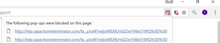hep.capacitorexterminator.com virus