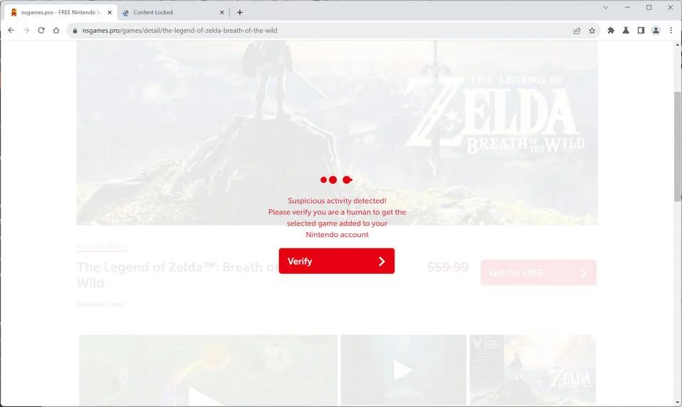 nsgames.pro scam