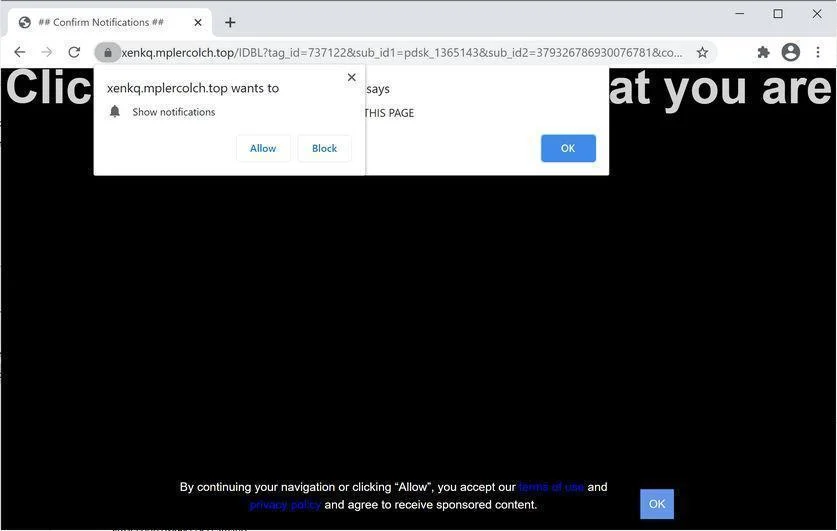 Image: Chrome browser is redirected to Mplercolch.top
