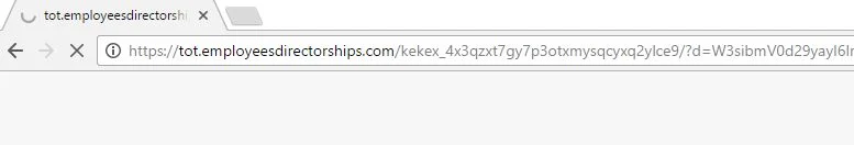 tot.employeesdirectorships.com virus