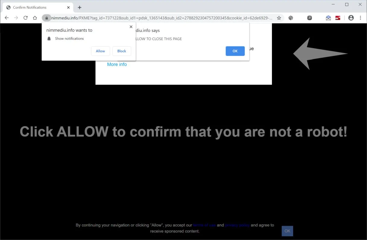 Remove Nimmediu.info pop-up ads (Virus Removal Guide) 1 Image: Chrome browser is redirected to Nimmediu.info