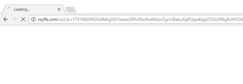 royfls.com virus