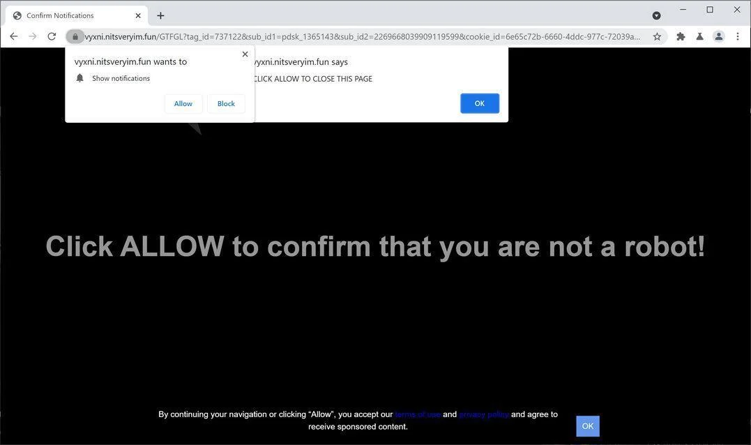 Remove Nitsveryim.fun pop-up ads (Virus Removal Guide) 1 Image: Chrome browser is redirected to Nitsveryim.fun