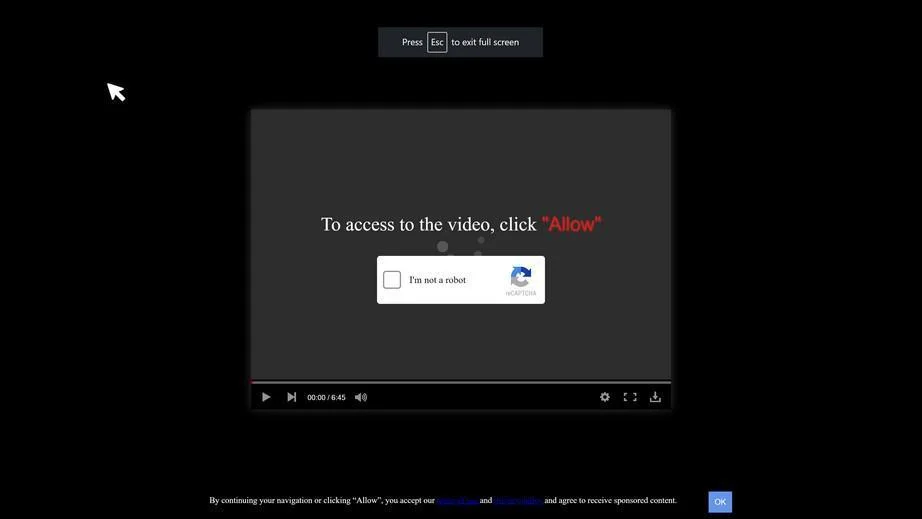 How to Remove Bunnyvideo.ru Pop-up Ads (Virus Removal Guide) 1 Image: Chrome browser is redirected to Bunnyvideo.ru