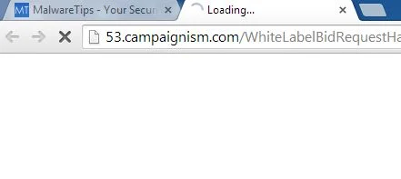 53.campaignism.com redirect