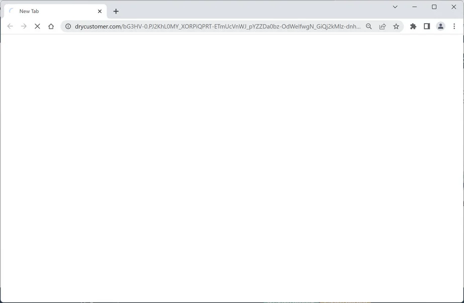 Image: Chrome browser is redirected to Drycustomer.com
