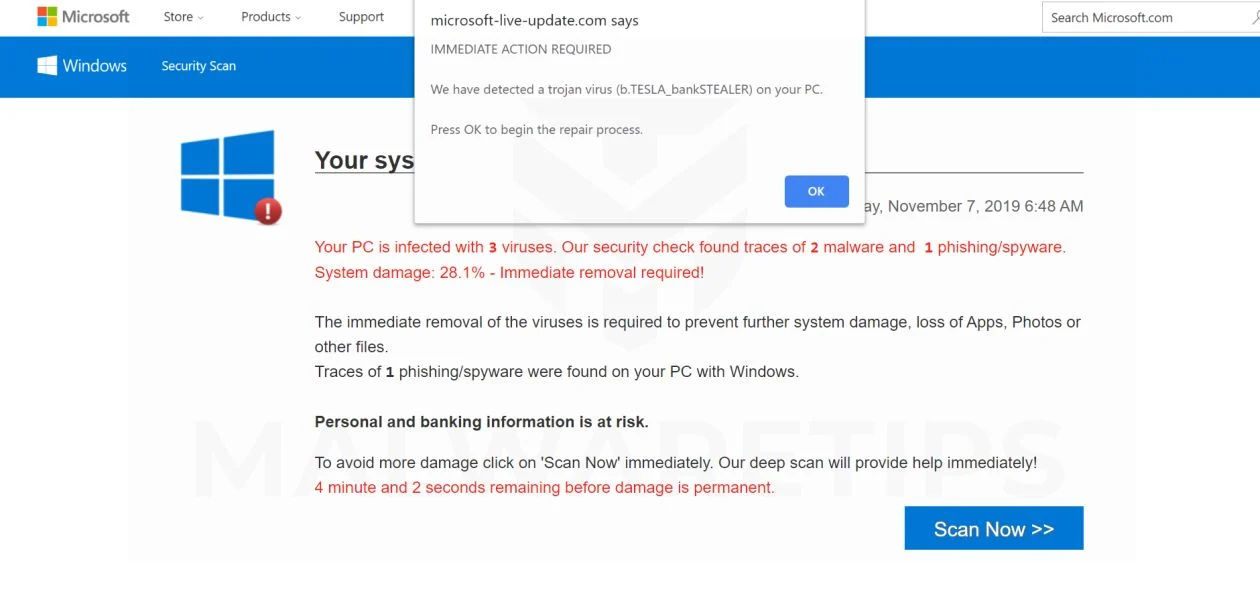 b.TESLA_bankSTEALER Fake Error Messages