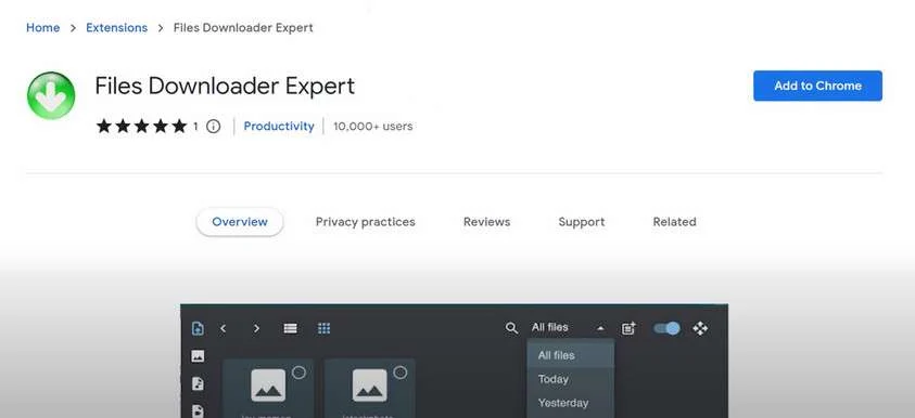 Image: Files Downloader Expert Chrome Extension