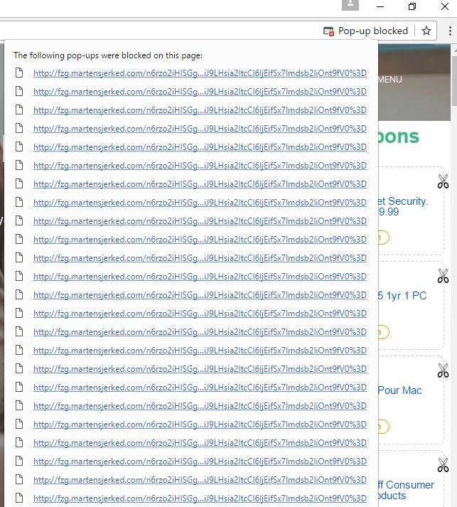fzg.martensjerked.com virus