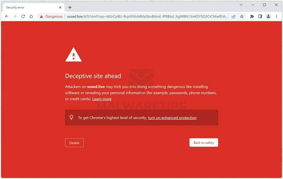 Image: Chrome browser is redirected to Sosed.live