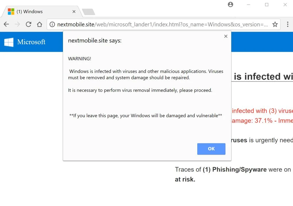 Your Windows is infected with (6) viruses Scam