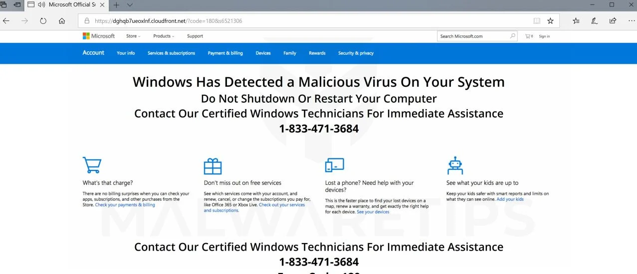 Windows Has Detected a Malicious Virus On Your System Scam Alerts