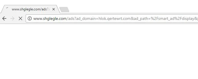 www.shglegle.com virus