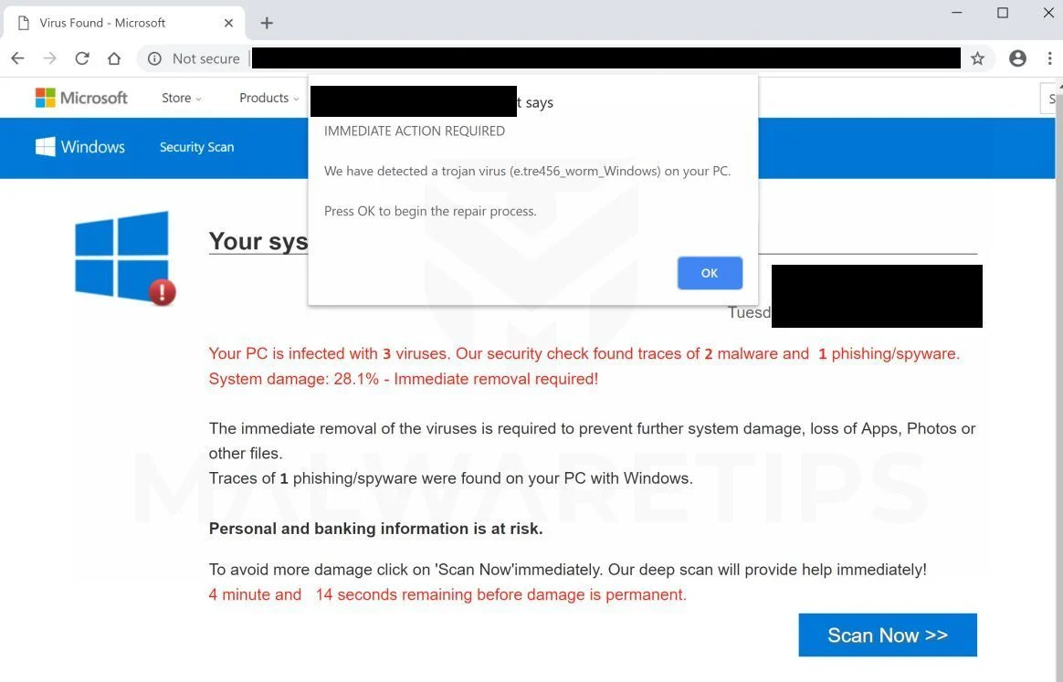 How to remove E.Tre456_worm_Windows pop-ups (Virus Removal Guide) 1 E.Tre456_worm_Windows Scam Virus