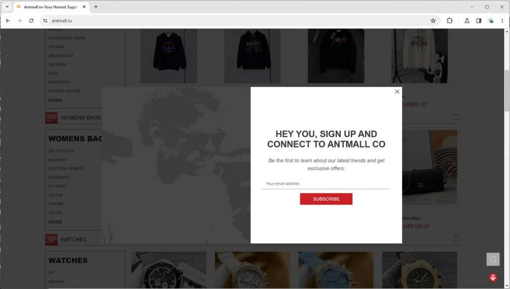 Antmall.ru Under Investigation - Scam or Legit Store? 1 antmall.ru scam