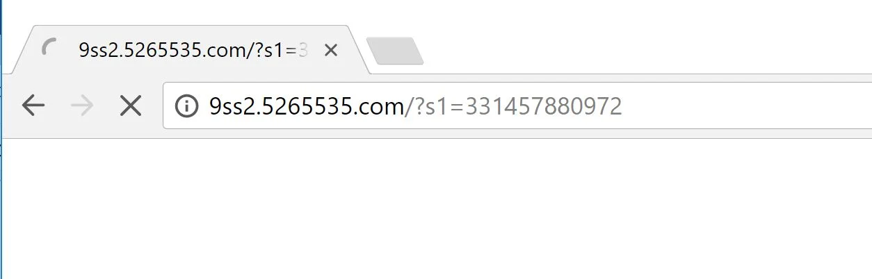 9ss2.5265535.com virus