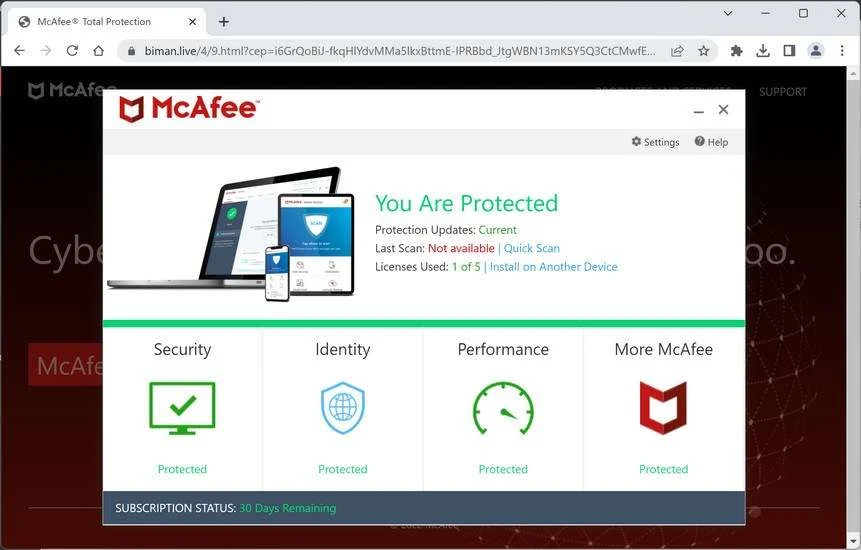 Image: Biman.live Fake McAfee Virus Alert