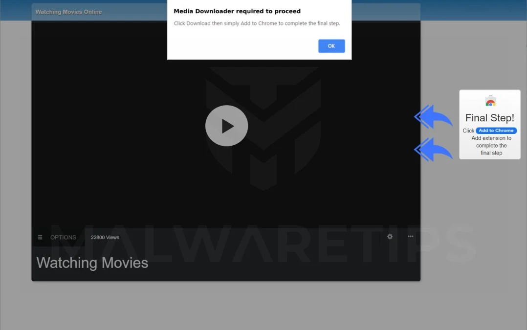 Remove Videodownloaderapp.co pop-up ads (Virus Removal Guide) 1 Image: Chrome browser is redirected to Videodownloaderapp.co