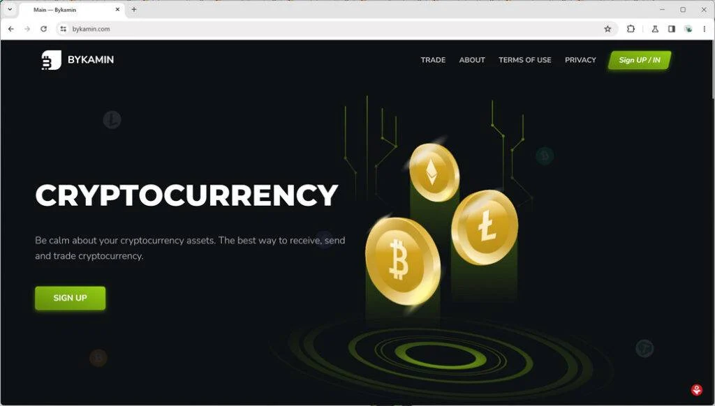 bykamin.com scam