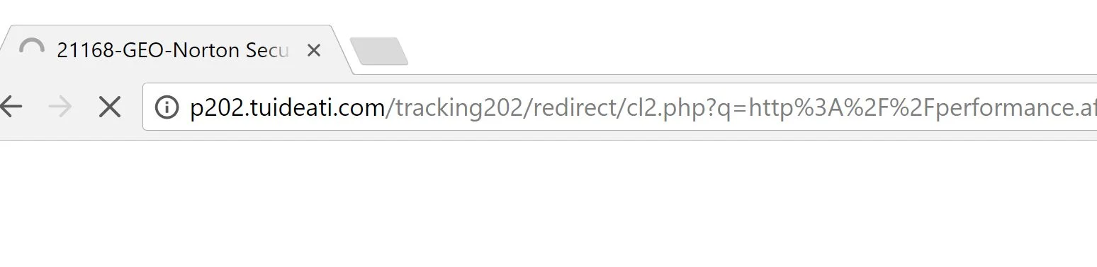 P202.tuideati.com redirect virus