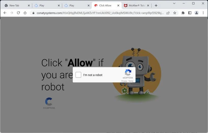 Image: Conatysystems.com Ads