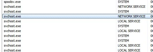 Picture of Svchost.exe virus