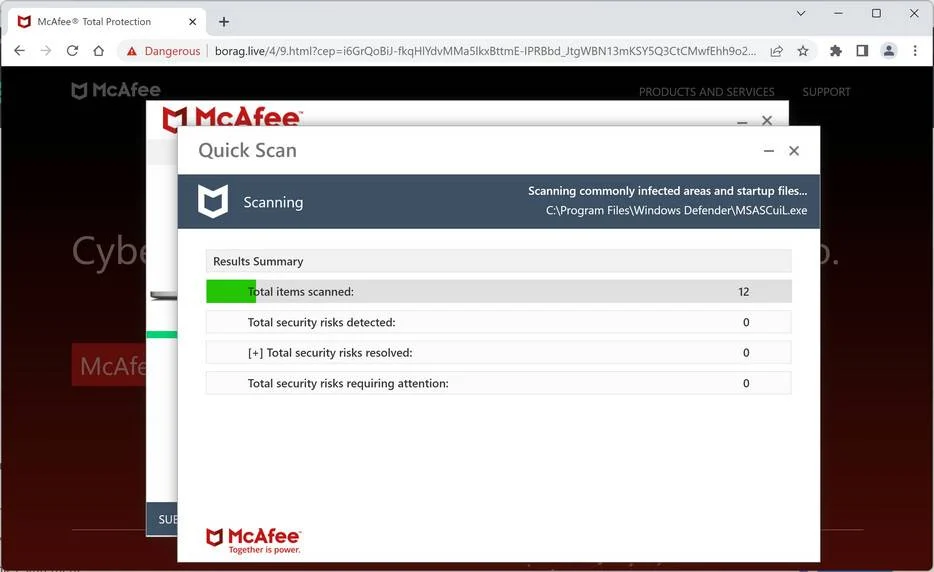 Image: Borag.live Fake McAfee Virus Alert