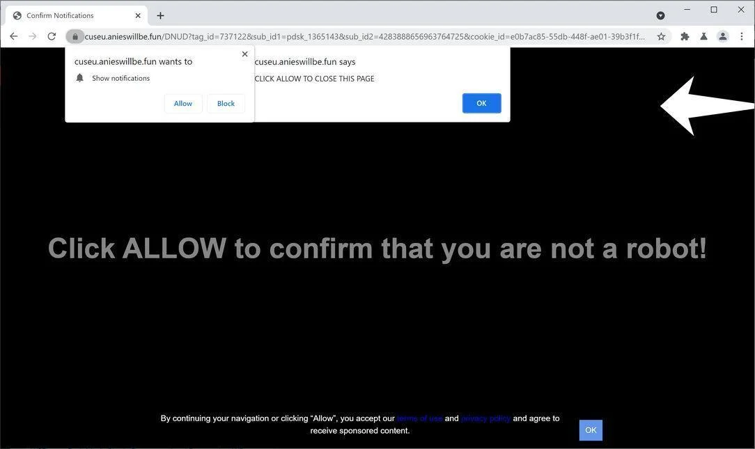Image: Chrome browser is redirected to Anieswillbe.fun