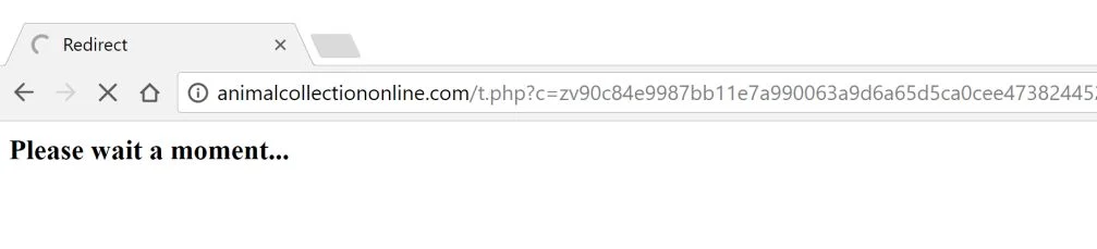 Animalcollectiononline.com redirect Animalcollectiononline.com redirect virus