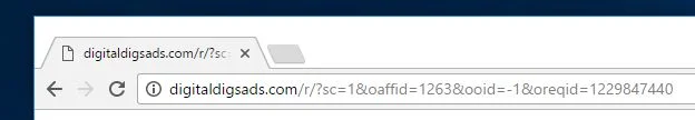 Digitaldigsads.com virus