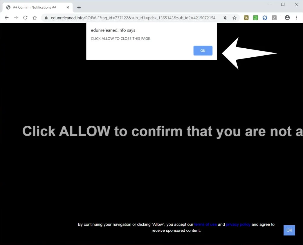 Image: Chrome browser is redirected to Edunreleaned.info