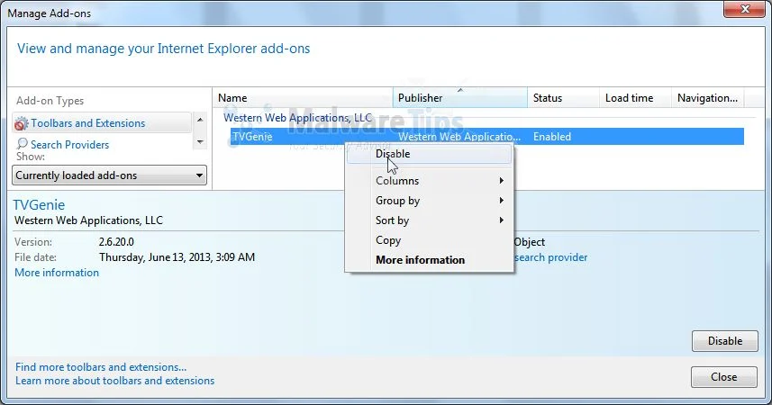[Image:TVGenie Internet Explorer virus]