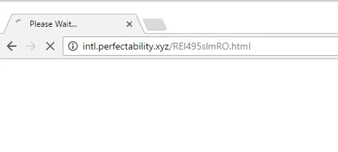 intl.perfectability.xyz virus