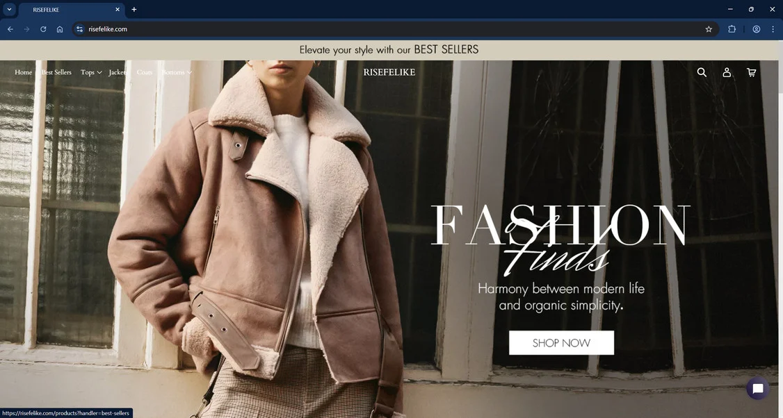 Risefelike.com Scam Store: What You Need To Know 1 Risefelike.com scam